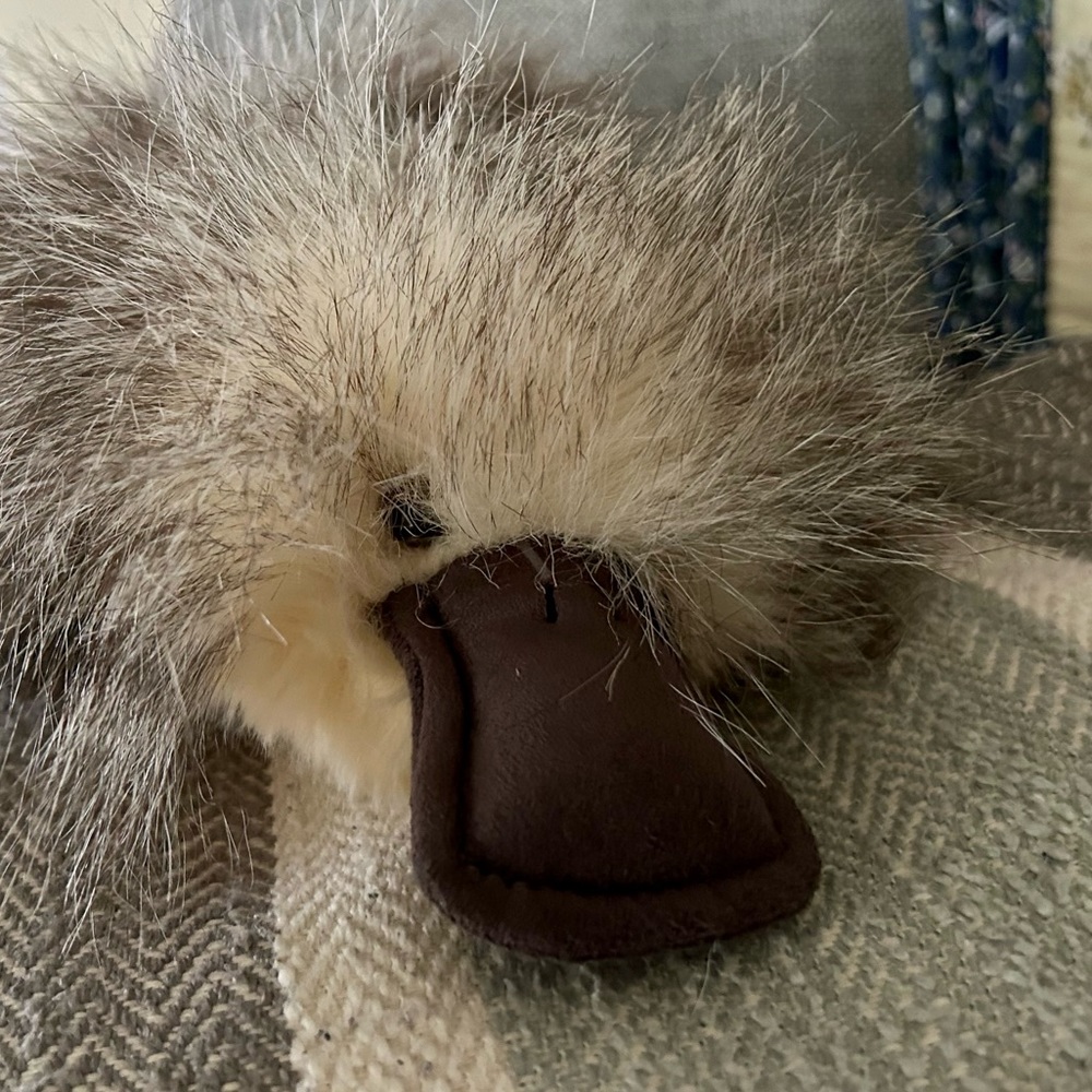 Aurora Luxe Platypus